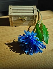 Whisper of Blue: A Bloom and a Wooden Treasure