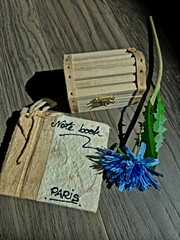 Sunlit Nostalgia: A Vintage Notebook, Blue Bloom, and Wooden Keepsake