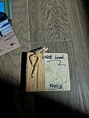 Sunlit Secrets: A Vintage Notebook’s Whisper