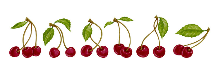 Collection of ripe red cherry berries with green leaves. Vector graphics.