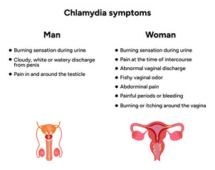 Chlamydia Trachomatis symptoms. Woman’s and man's reproductive system infections. Medical disease 
