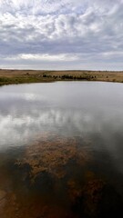 Life&rsquo;s Reflection 