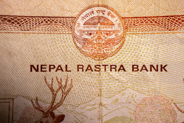A macro shot of a Nepalese 20 Rupee banknote displaying an intricate engraving of two deer in a natural landscape. The note highlights Nepal's wildlife and fine design details.