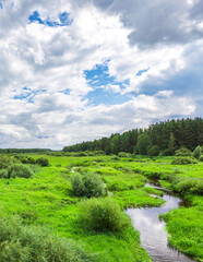 Lush green field with a river running through it