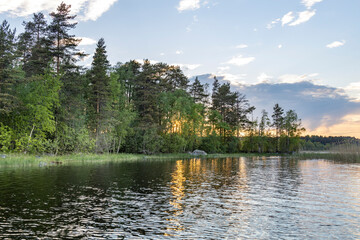 A calm lake with trees in the background