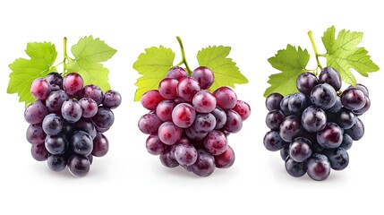 Fototapeta premium Three Bunches of Red Grapes Isolated on White Background