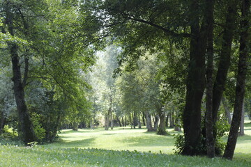 LAGO DE GENOS LONDEVILLE. FRANCIA
