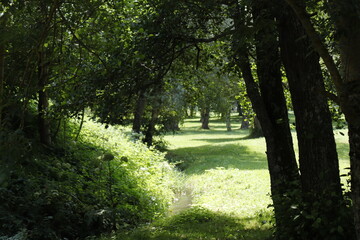 LAGO DE GENOS LONDEVILLE. FRANCIA