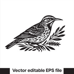 Western meadowlark silhouette, Meadowlark Bird Clipart, Western meadowlark landing on branch Illustration in black and white