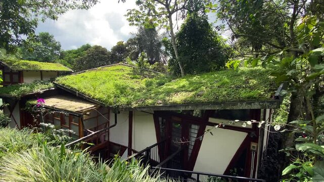Green roof, rooftop covered in vegetation, is seen on top of a house in the outskirts of Bogota, Colombia.
