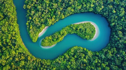 Tropical Rivers in Lush Nature Trails for Exploration
