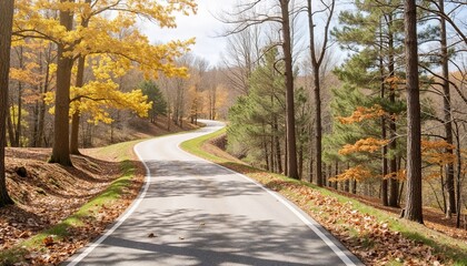 Fototapeta premium Winding country road through autumn forest with colorful fall foliage.