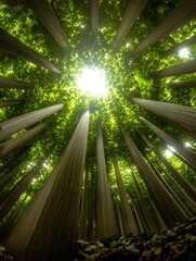 Majestic tree canopy with bright sunlight piercing through the lush foliage