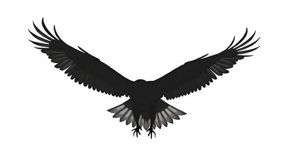 eagle shadow  on white background