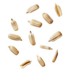 Obraz premium Scattered Sunflower Seeds for Close-up.