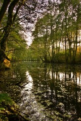 Obraz premium Jesienny krajobraz