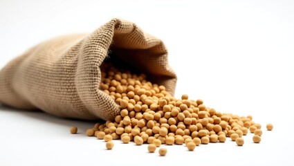 Rabbit food on a white background