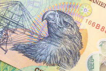 Detailed illustration of bird on colorful banknote design, ron