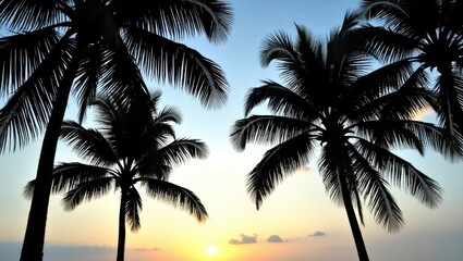 Obraz premium Sunset silhouette of palm trees