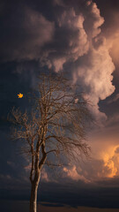 Fototapeta premium Bare tree silhouette against a dramatic sunset sky, single leaf clinging to branch, conveying themes of resilience, solitude, and the passage of time
