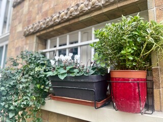 14&egrave;me arrondissement