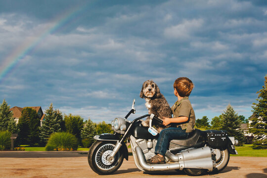 Boy on toy motorcycle holding dog with rainbow in sky
