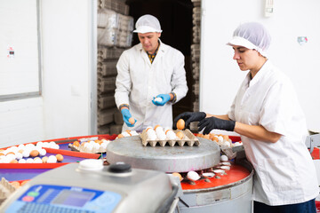Skilled young hispanic female poultry farm worker in white coat and rubber gloves sorting freshly...