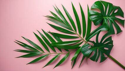 Obraz premium green palm leaves Monstera on pink backdrop. Flat lay, top view