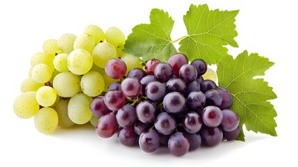 Fototapeta premium Isolated grape varieties