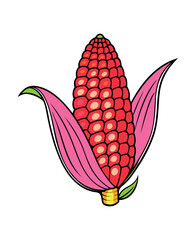 Vibrant Pink Corn Illustration with Open Husk