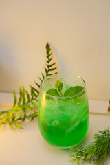mojito cocktail with mint