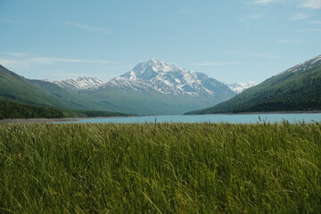 Fototapeta premium Eklutna Lake in Anchorage Alaska with luscious green grass