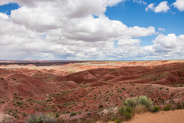 Fototapeta premium The Painted Desert at Petrified Forest National Park.