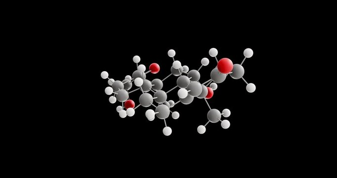 Corticosterone molecule, rotating 3D model of steroid hormone, looped video on a black background