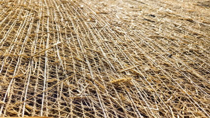 close-up of erosion control mat to cover seeds to stabilize soil and seed growth environment background. land management technique. rolled erosion control product texture backdrop.
