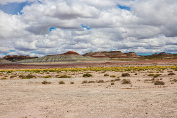 Otherworldly landscape at Petrified Forest National Park in Arizona.