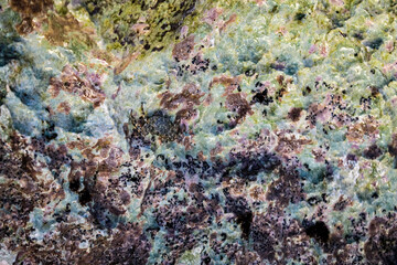 Porous volcanic tuff rock formation covered in moss or lichen by the tide of Caribbean Sea. A crab sits camouflaged in the landscape.