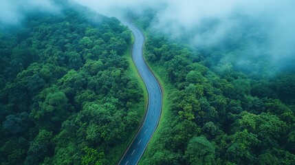 Experience a peaceful drive along a scenic highway, where misty forests meet serene landscapes at dawn, perfect for adventures.