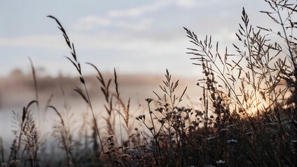 tall grass and flowers with sunburst light create a soft, dreamy atmosphere in the landscape