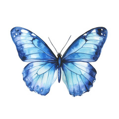 a beautifully rendered watercolor illustration of a blue butterfly showcasing intricate details and vibrant colors perfect for artistic projects or nature-themed designs