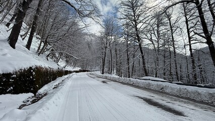 A serene snow-covered road winding through a winter forest with leafless trees