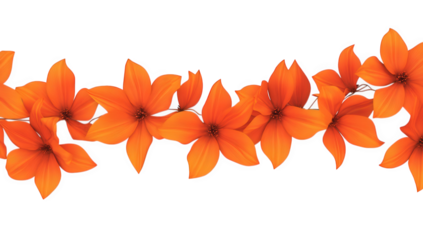orange flowers set against a white background creating a cheerful and lively visual effect suitable for design or decoration purposes