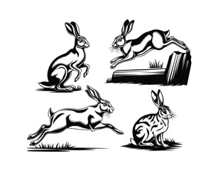 Elegant Hare Silhouette Collection Isolated Template