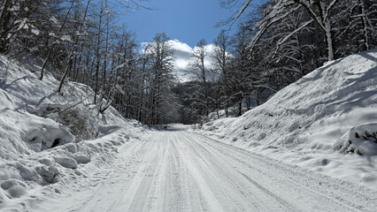 A winding road covered in snow, surrounded by frost-laden trees in a winter landscape and blue sky
