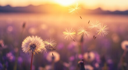 Floating dandelion seeds illuminated by golden-hour sunlight in a dreamy setting