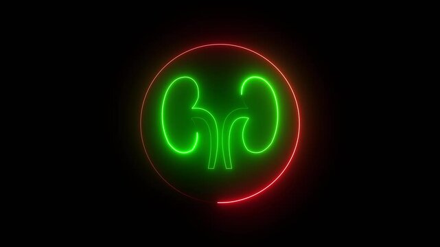 Neon kidney icon animation with red and green color on black background.