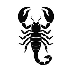 vector illustration of a black scorpion silhouette