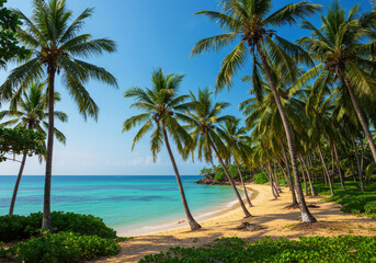 Fototapeta premium Palm trees on exotic coast beautiful sunshine sea sky background