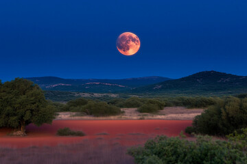 Lunar Eclipse Over a Serene Countryside