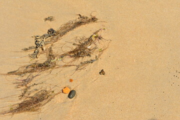 footprints on the sand